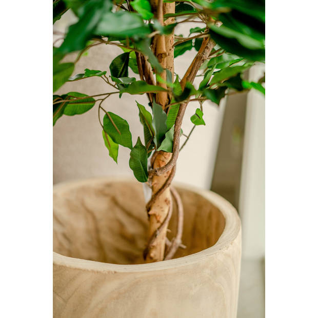 Hoyz Greenery - Kunstplant Ficus Groen 120 cm