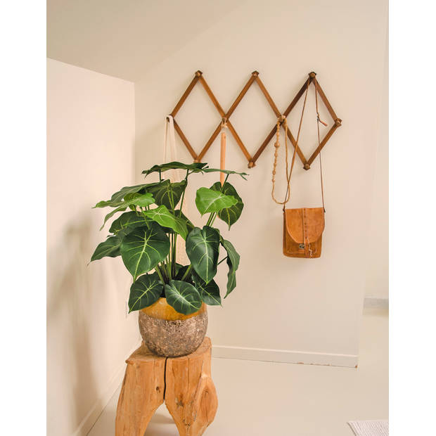 Hoyz Greenery - Kunstplant Syngonium 58 cm