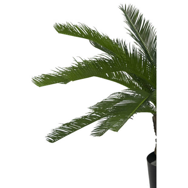 Hoyz Greenery - Kunstplant Cycaspalm 80 cm