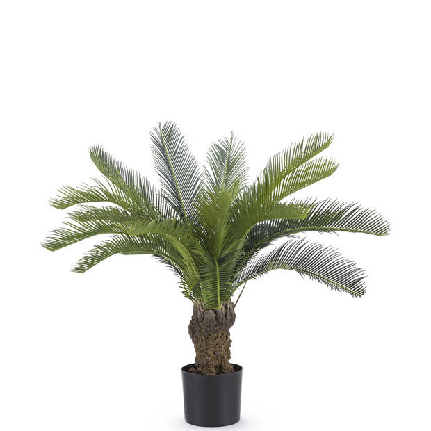 Hoyz Greenery - Kunstplant Cycaspalm 80 cm