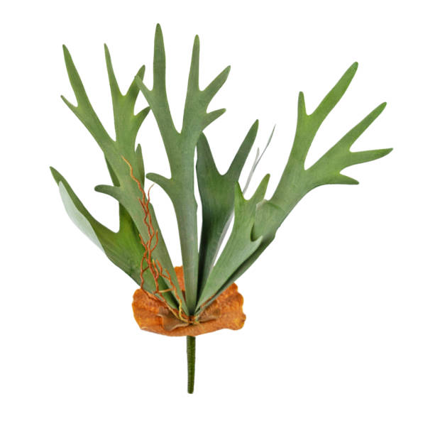 Hoyz Greenery - Kunstplant Staghorn 53 cm