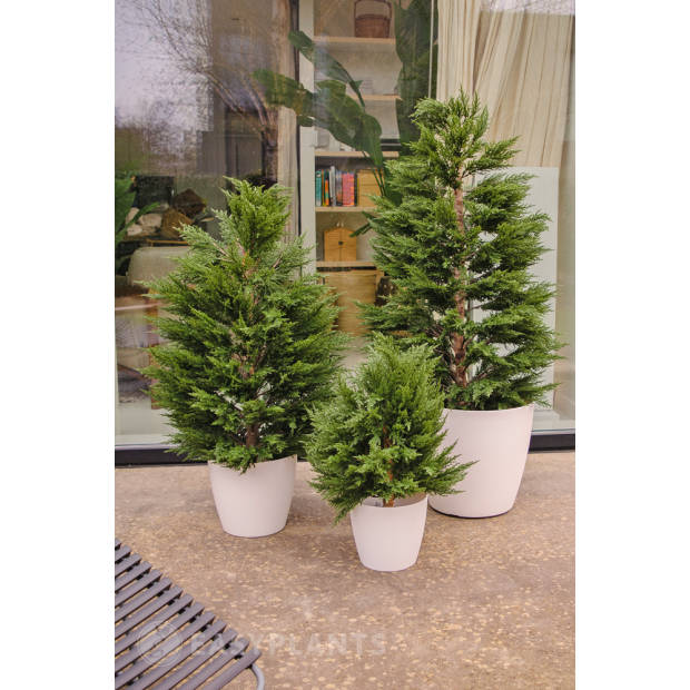 Hoyz Greenery - Kunstplant Conifeer deluxe 120 cm UV