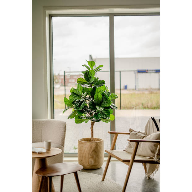 Hoyz Greenery - Kunstplant Fiddle Leaf Tree 150 cm