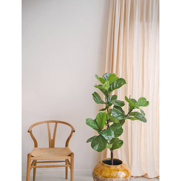 Hoyz Greenery - Kunstplant Ficus Tabaksplant 120 cm