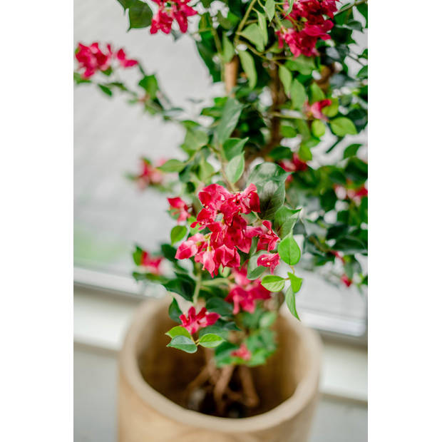 Hoyz Greenery - Kunstplant Bougainvillea Liana Fuchsia 115 cm