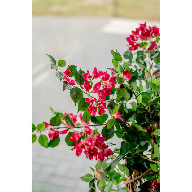 Hoyz Greenery - Kunstplant Bougainvillea Liana Fuchsia 115 cm