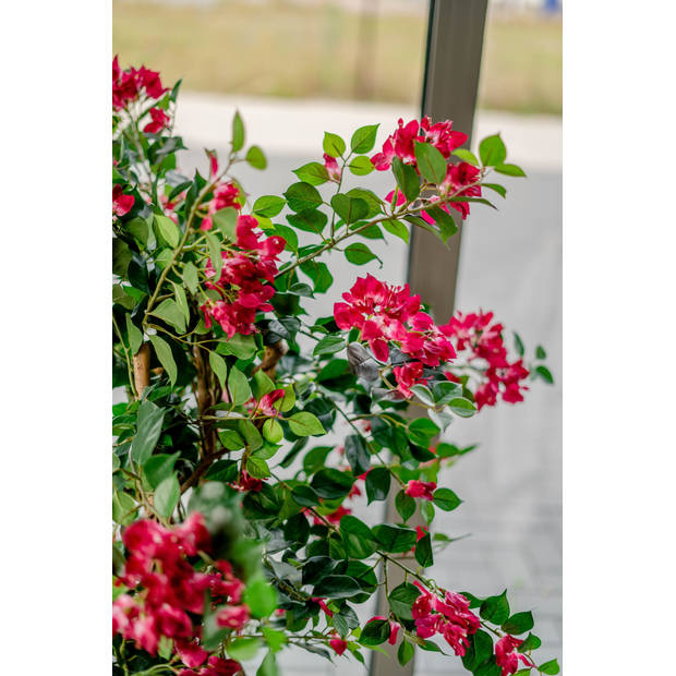 Hoyz Greenery - Kunstplant Bougainvillea Liana Fuchsia 115 cm