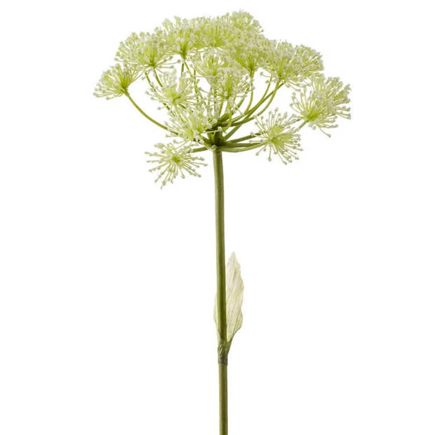 Emerald Kunstbloem Berenklauw - 78 cm - wit - losse tak - kunst zijdebloem - Heracleum - decoratie - Kunstbloemen