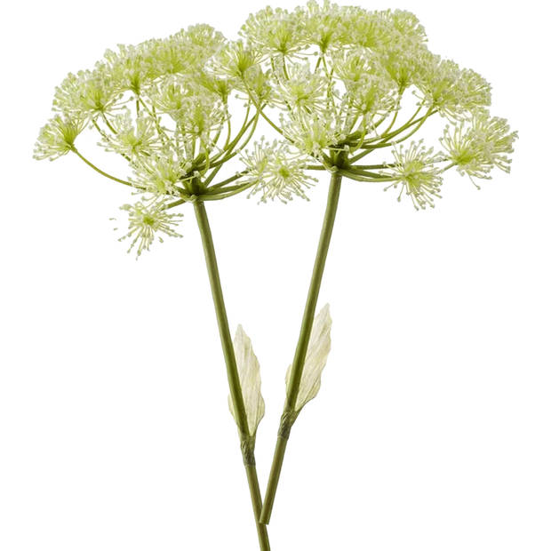 Emerald Kunstbloem Berenklauw - 78 cm - wit - losse tak - kunst zijdebloem - Heracleum - decoratie - Kunstbloemen