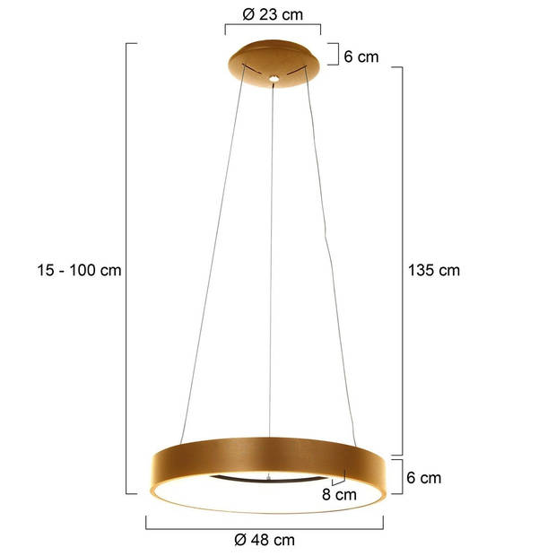 Steinhauer Ringlede Hanglamp Brons