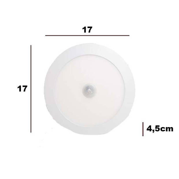 Dreamled Ceiling Sensor LED Light 10W