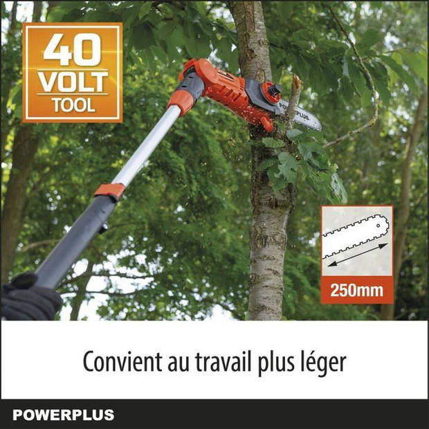 Dual Power POWDPGSET42 batterij telescopische kettingzaag - 40 V, 250 mm geleider, batterij en oplader inbegrepen