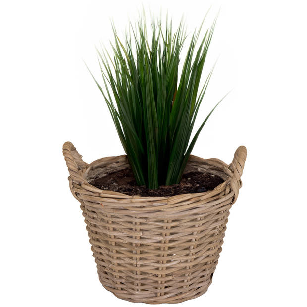 Mega Collections Planten/bloemen mand Levi - rotan - naturel - D35 x H25 cm - plantenpot voor buiten - Plantenpotten