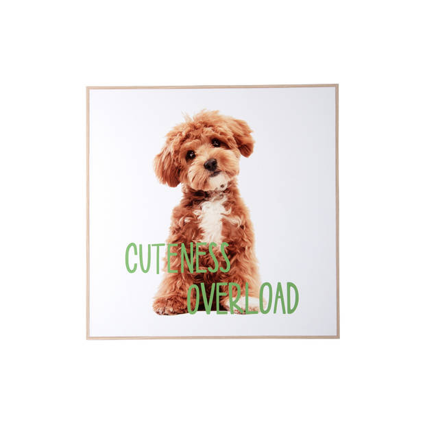 Present Time - Wall Art Puppy Cuteness Overload - Multicolor