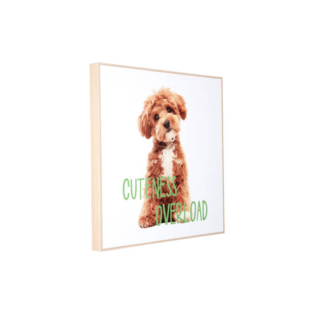 Present Time - Wall Art Puppy Cuteness Overload - Multicolor