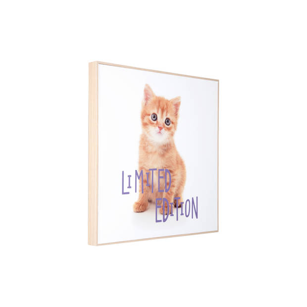 Present Time - Wall Art Kitten Limited Edition - Multicolor