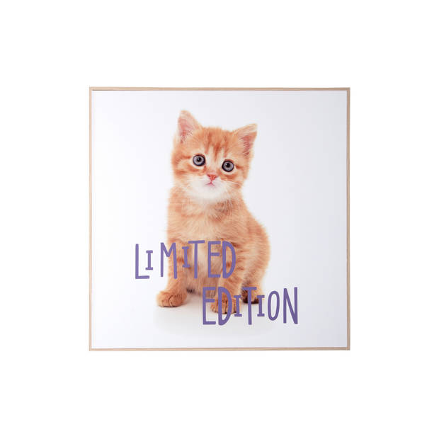 Present Time - Wall Art Kitten Limited Edition - Multicolor