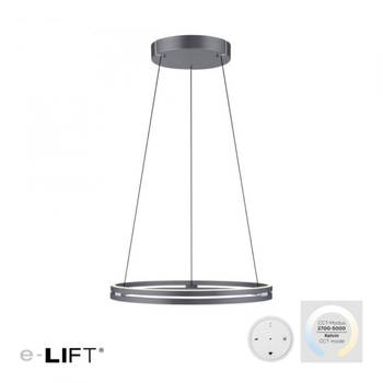 Paul Neuhaus Hanglamp E-Loop e-Lift Ø 70 cm donker grijs