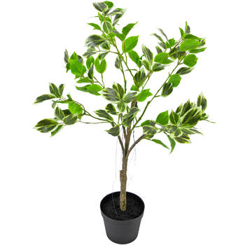 Hoyz Greenery - Kunstplant Ficus Henryi 60 cm groen/wit