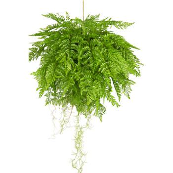 Hoyz Greenery - Kunst hangplant Varen met wortels d55 cm met hangsysteem