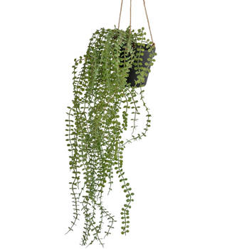 Hoyz Greenery - Kunst hangplant Pumila 81 cm in pot