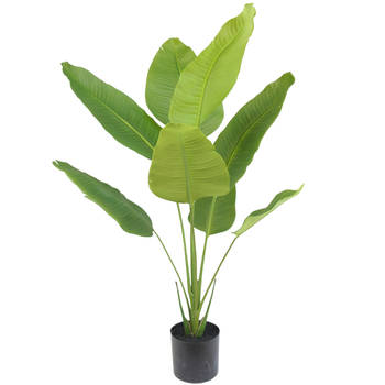 Hoyz Greenery - Kunstplant Strelitzia 120 cm