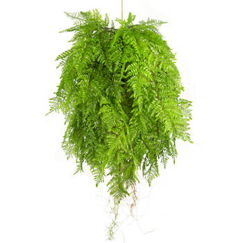 Hoyz Greenery - Kunst hangplant Varen met wortels d80 cm met hangsysteem