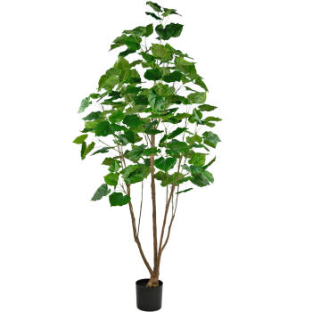 Hoyz Greenery - Kunstplant Ficus 210 cm