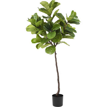 Hoyz Greenery - Kunstplant Ficus Tabaksplant 180 cm