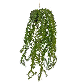 Hoyz Greenery - Kunst hangplant Phlegmariurus bal 50 cm