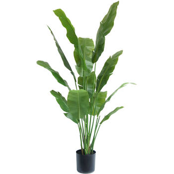 Hoyz Greenery - Kunstplant Strelitzia Nicolai 165 cm