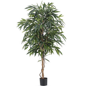 Hoyz Greenery - Kunstplant Longifolia Royaal 180 cm