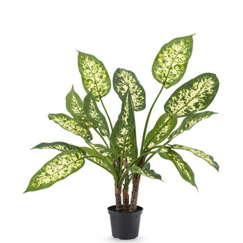 Hoyz Greenery - Kunstplant Dieffenbachia 40 cm