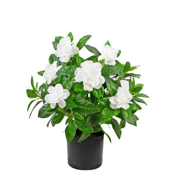 Hoyz Greenery - Kunstplant Gardenia 39 cm wit