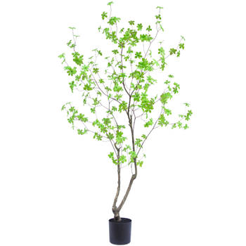 Hoyz Greenery - Kunstplant Enkianthus 180 cm