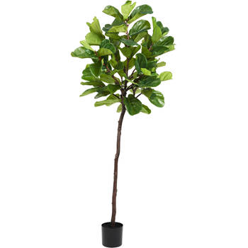 Hoyz Greenery - Kunstplant Ficus Tabaksplant 210 cm