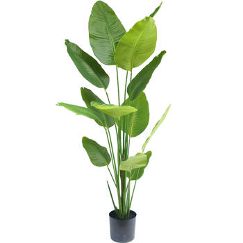 Hoyz Greenery - Kunstplant Strelitzia 180 cm