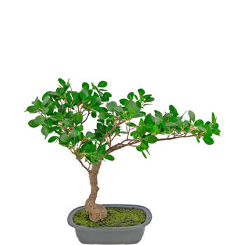Hoyz Greenery - Kunstplant Bonsai Ficus 40 cm