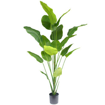 Hoyz Greenery - Kunstplant Strelitzia 210 cm