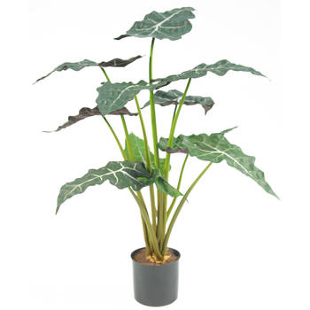 Hoyz Greenery - Kunstplant Alocasia 67 cm