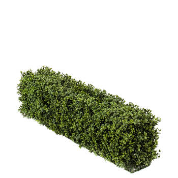 Hoyz Greenery - Kunst Buxushaag 100x20x25 cm UV