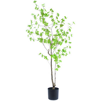 Hoyz Greenery - Kunstplant Enkianthus 150 cm