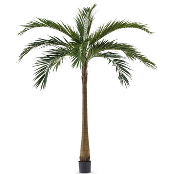 Hoyz Greenery - Palm XL Deluxe 270 cm