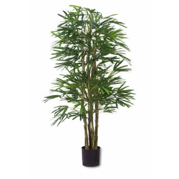 Hoyz Greenery - Lady Kunstpalm 150 cm