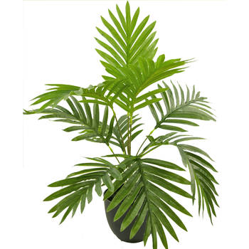 Hoyz Greenery - Kunstpalm Phoenix 50 cm in sierpot zwart