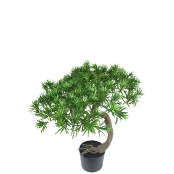 Hoyz Greenery - Kunst Bonsaiboom Pine 55 cm