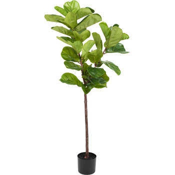 Hoyz Greenery - Kunstplant Ficus Tabaksplant 150 cm