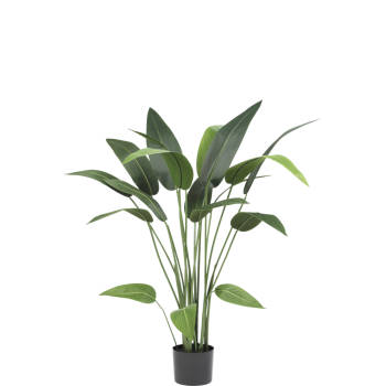 Hoyz Greenery - Kunstplant Heliconia 120 cm