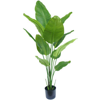 Hoyz Greenery - Kunstplant Strelitzia 150 cm