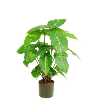 Hoyz Greenery - Kunstplant Syngonium 58 cm